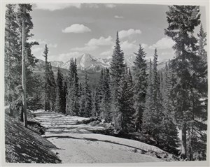 Image description is not available for 2007.024